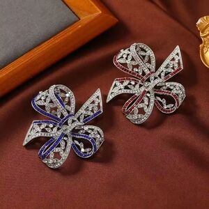 Elegant Silver and Red Brooch